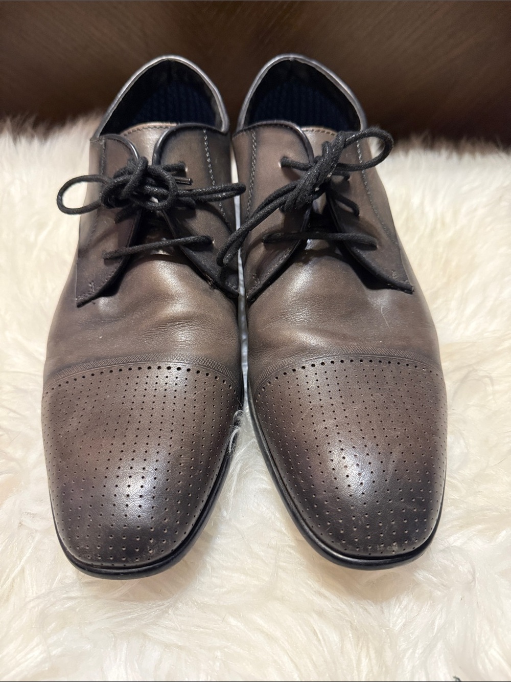Steve Madden Men's Brown Perforated Cap-Toe Derbys
